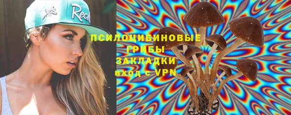 таблы Верея