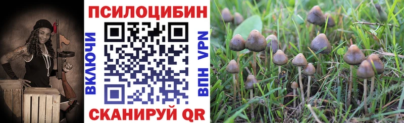 Галлюциногенные грибы мухоморы  Любань 